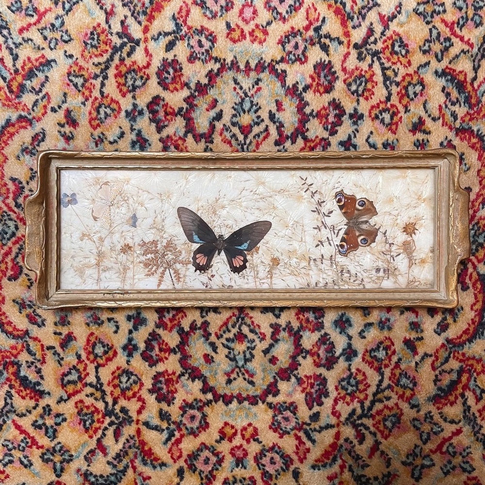 Vintage Butterfly/Moth Taxidermy Art